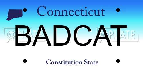 BADCAT Connecticut License Plate