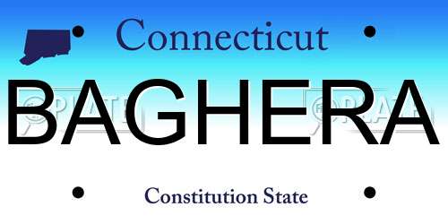 BAGHERA Connecticut License Plate