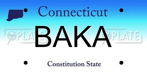 BAKA Connecticut License Plate