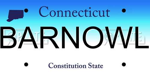 BARNOWL Connecticut License Plate