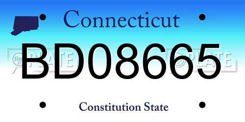 BD08665 Connecticut License Plate