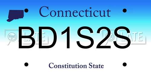 BD1S2S Connecticut License Plate