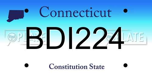 BDI224 Connecticut License Plate