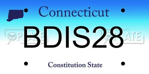 BDIS28 Connecticut License Plate