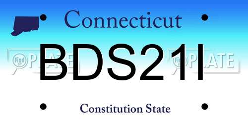 BDS21I Connecticut License Plate