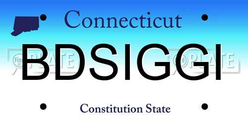 BDSIGGI Connecticut License Plate