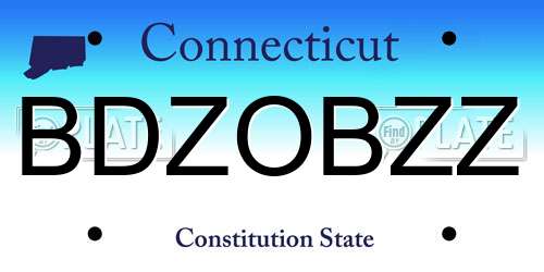 BDZOBZZ Connecticut License Plate