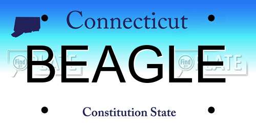 BEAGLE Connecticut License Plate