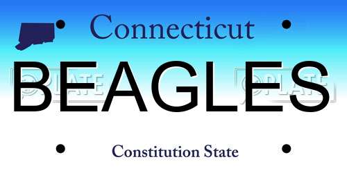 BEAGLES Connecticut License Plate