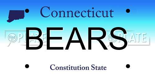 BEARS Connecticut License Plate