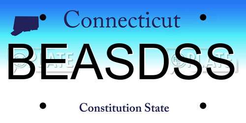 BEASDSS Connecticut License Plate