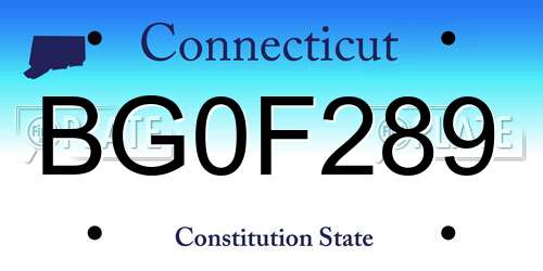 BG0F289 Connecticut License Plate