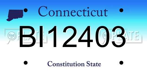 BI12403 Connecticut License Plate