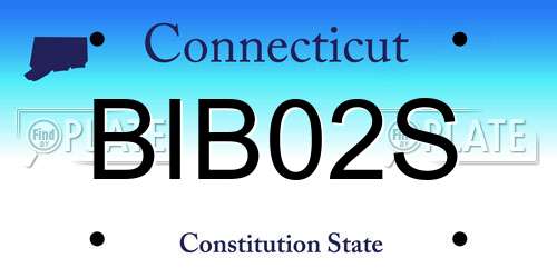 BIB02S Connecticut License Plate
