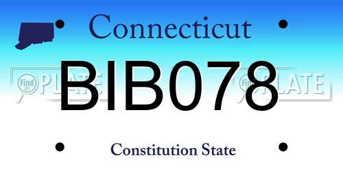 BIB078 Connecticut License Plate