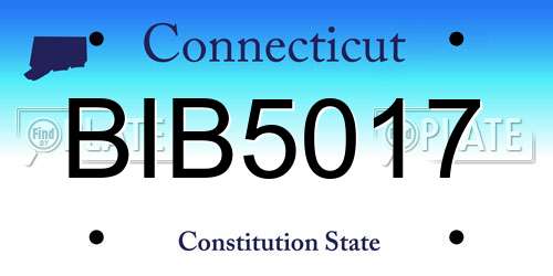 BIB5017 Connecticut License Plate