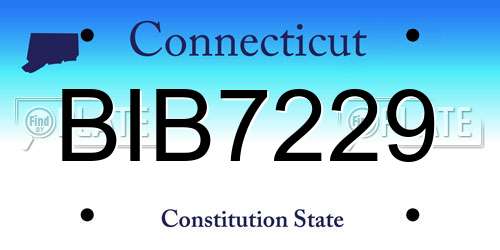 BIB7229 Connecticut License Plate