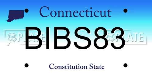 BIBS83 Connecticut License Plate