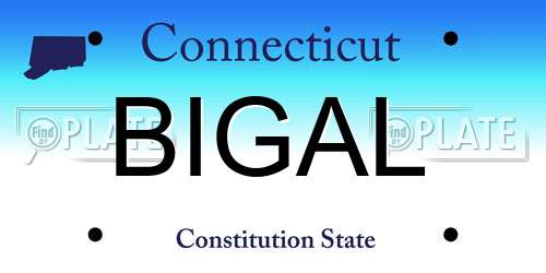 BIGAL Connecticut License Plate