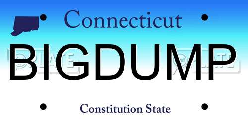 BIGDUMP Connecticut License Plate