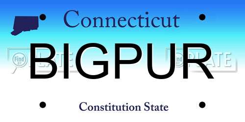 BIGPUR Connecticut License Plate