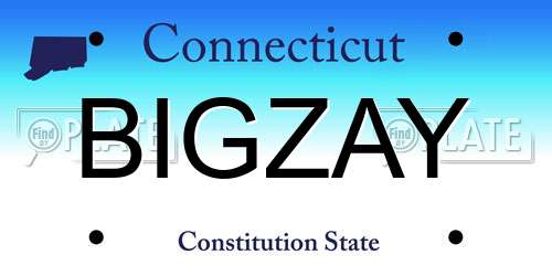 BIGZAY Connecticut License Plate