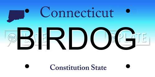 BIRDOG Connecticut License Plate