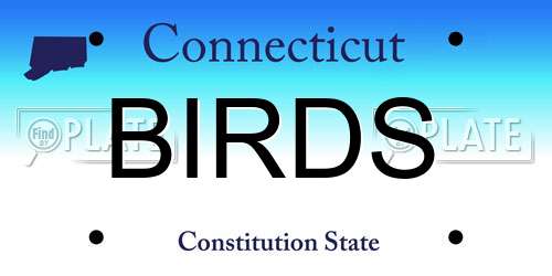 BIRDS Connecticut License Plate