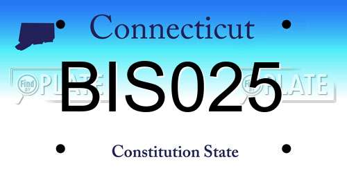 BIS025 Connecticut License Plate