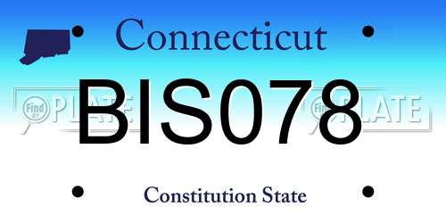 BIS078 Connecticut License Plate