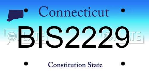 BIS2229 Connecticut License Plate