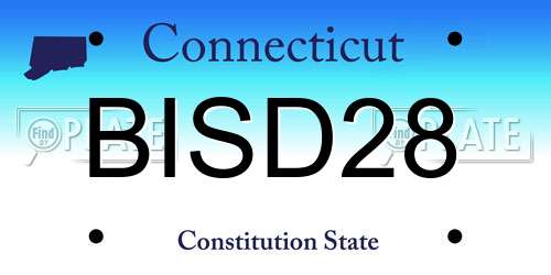 BISD28 Connecticut License Plate
