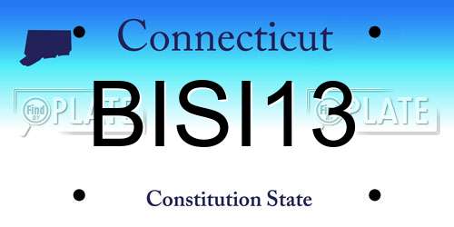 BISI13 Connecticut License Plate