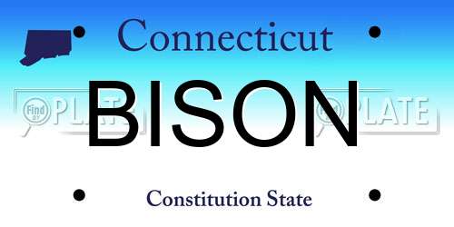BISON Connecticut License Plate