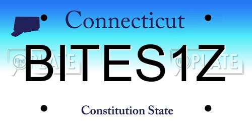 BITES1Z Connecticut License Plate
