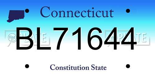 BL71644 Connecticut License Plate