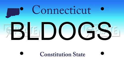 BLDOGS Connecticut License Plate