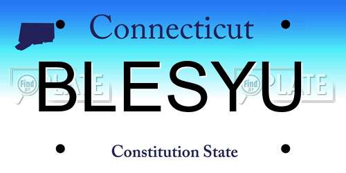 BLESYU Connecticut License Plate