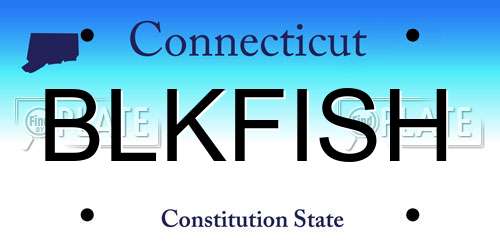 BLKFISH Connecticut License Plate