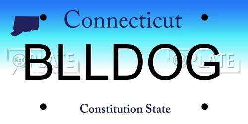 BLLDOG Connecticut License Plate