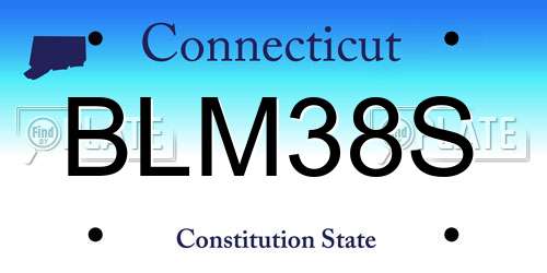 BLM38S Connecticut License Plate