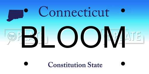 BLOOM Connecticut License Plate