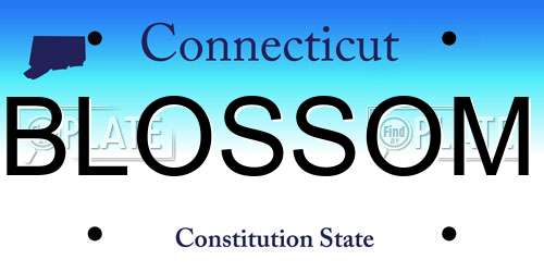 BLOSSOM Connecticut License Plate
