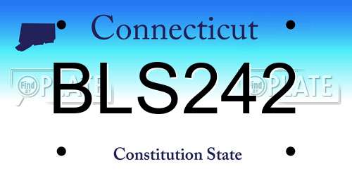 BLS242 Connecticut License Plate