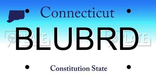 BLUBRD Connecticut License Plate