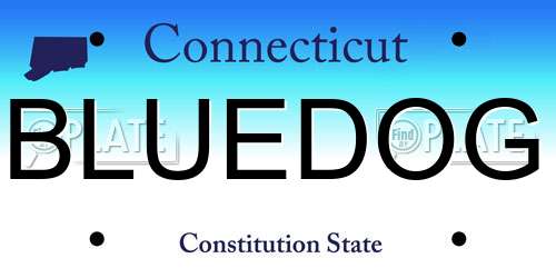 BLUEDOG Connecticut License Plate