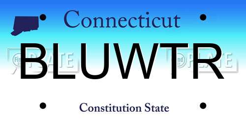 BLUWTR Connecticut License Plate