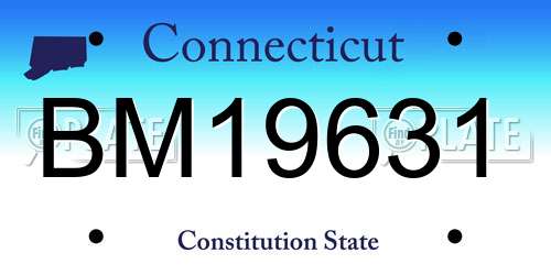 BM19631 Connecticut License Plate