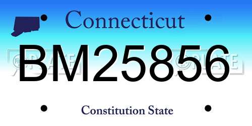 BM25856 Connecticut License Plate