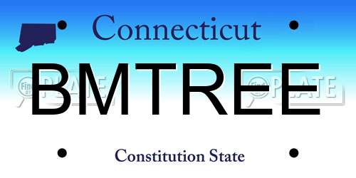 BMTREE Connecticut License Plate